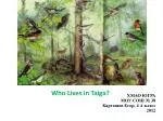 Who Lives in Taiga? - slide 1