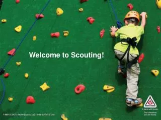 Welcome to Scouting!