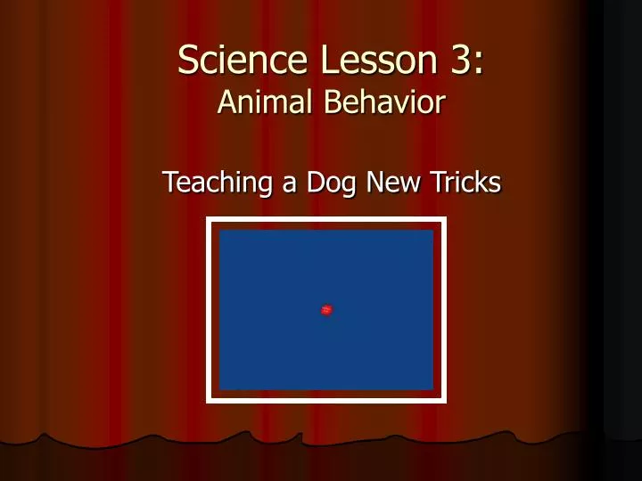 science lesson 3 animal behavior
