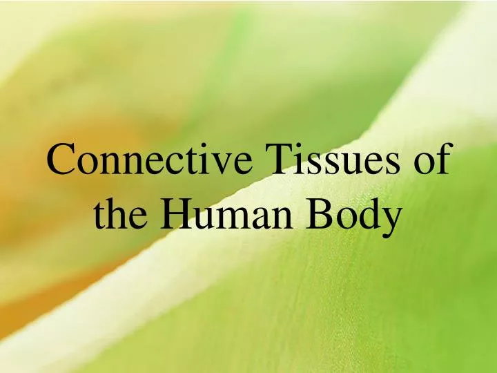 connective tissues of the human body