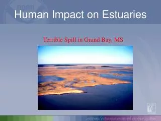 Human Impact on Estuaries