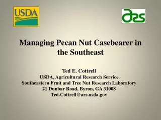 Managing Pecan Nut Casebearer in the Southeast