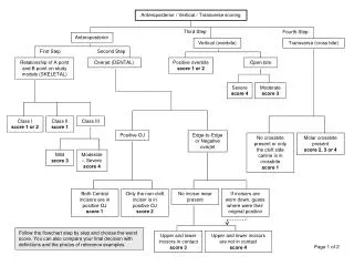 Anteroposterior / Vertical / Transverse scoring