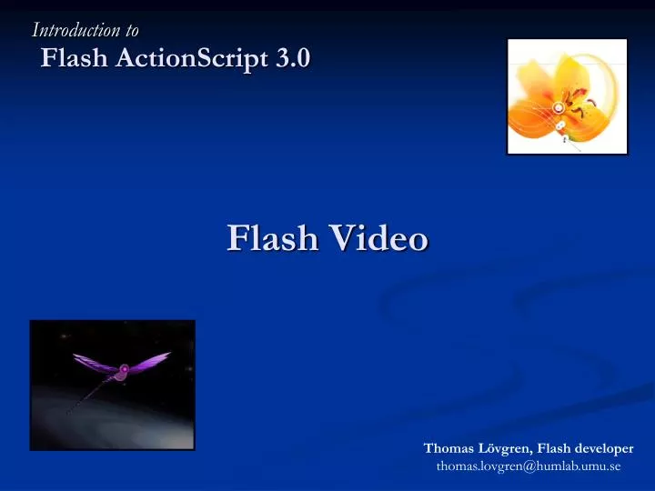 flash video