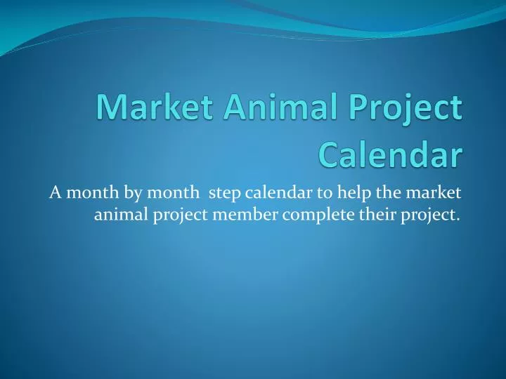 market animal project calendar