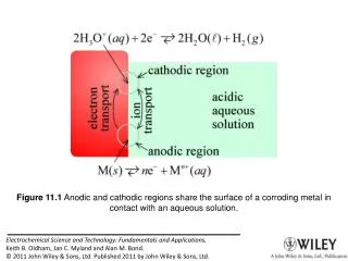 Figure 11.1 Anodic and cathodic regions share the surface of a corroding metal in contact with an aqueous solution.