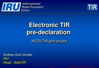 Electronic TIR pre-declaration