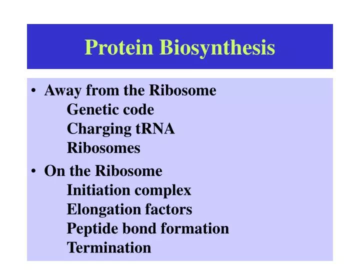 protein biosynthesis