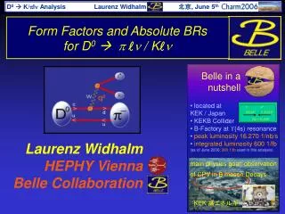 Form Factors and Absolute BRs for D 0  p  n / K  n