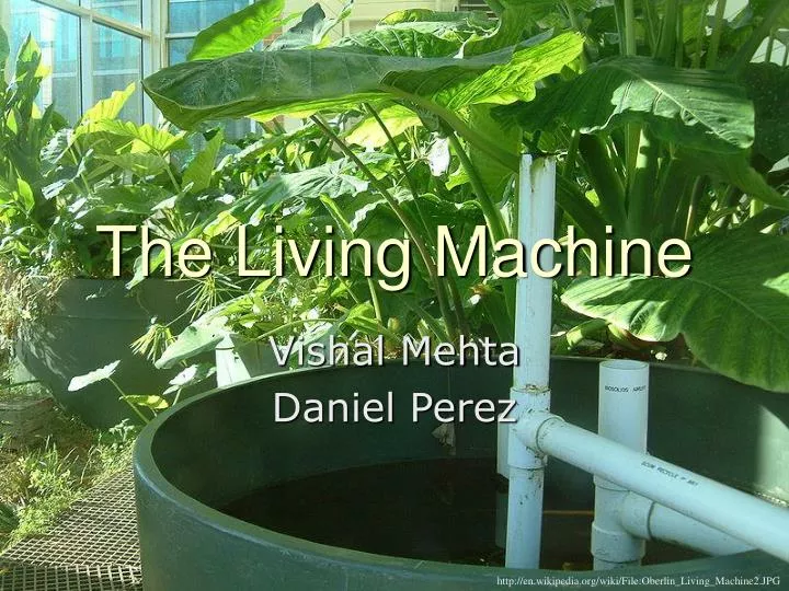 the living machine