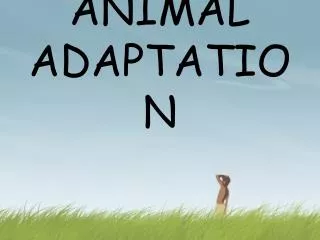 ANIMAL ADAPTATION