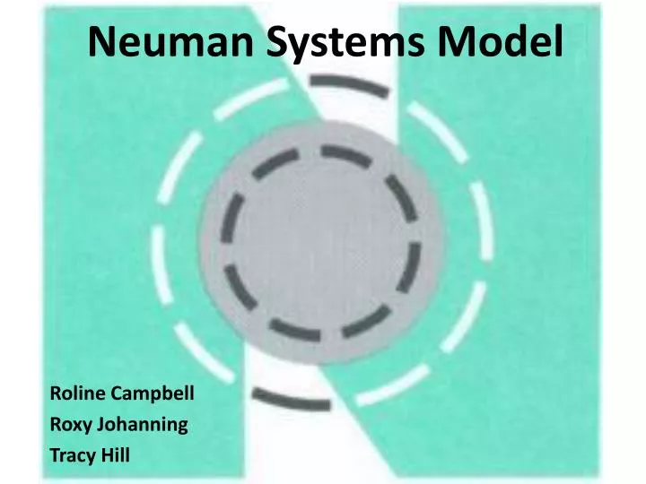 neuman systems model