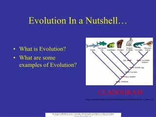 Evolution In a Nutshell…