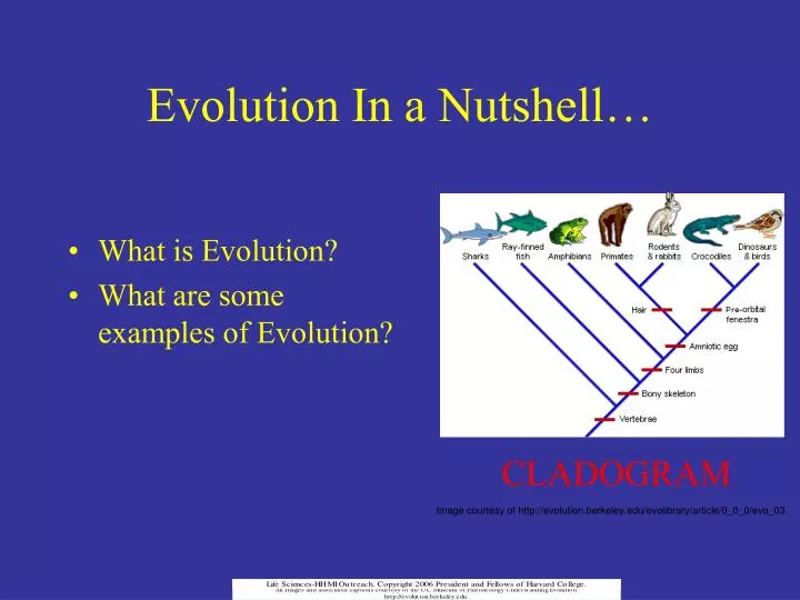 evolution in a nutshell
