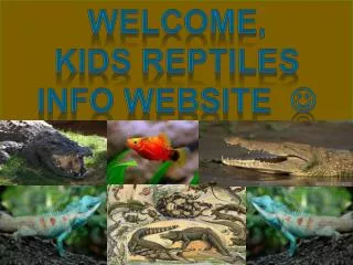 Welcome, Kids reptiles Info website ?
