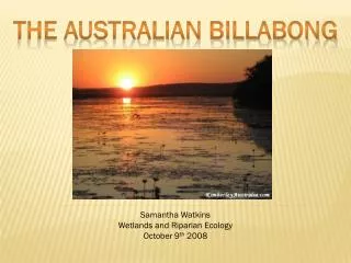 The Australian Billabong