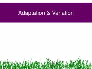 Adaptation &amp; Variation