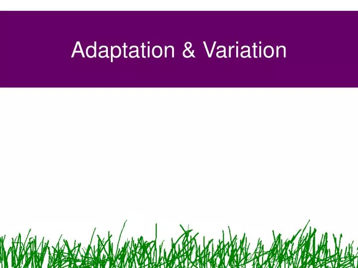 adaptation variation
