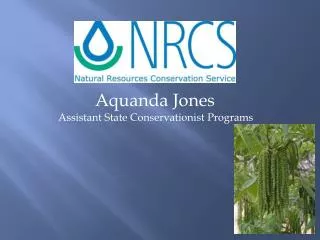 Aquanda Jones Assistant State Conservationist Programs