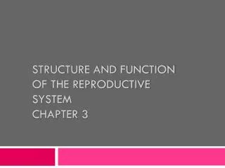 Structure and Function of the Reproductive System Chapter 3