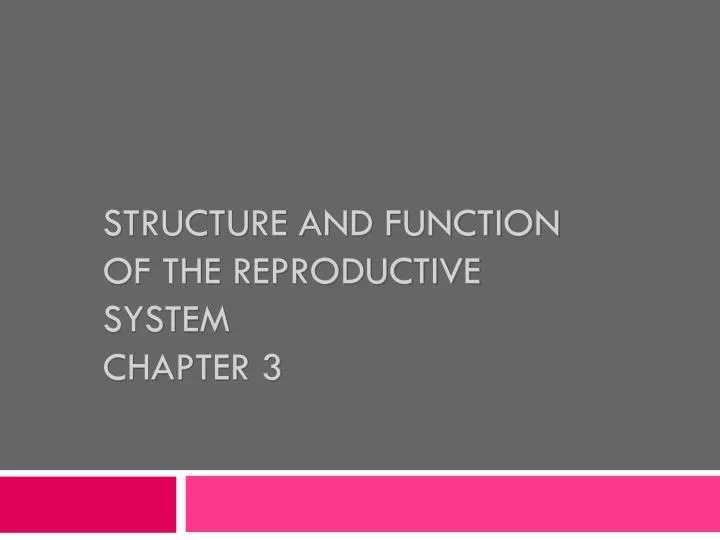 structure and function of the reproductive system chapter 3
