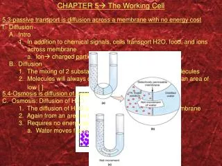 CHAPTER 5 ? The Working Cell