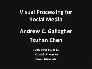 Visual Processing for Social Media