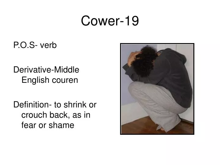 cower 19