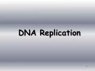 dna replication