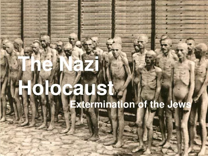 the nazi holocaust