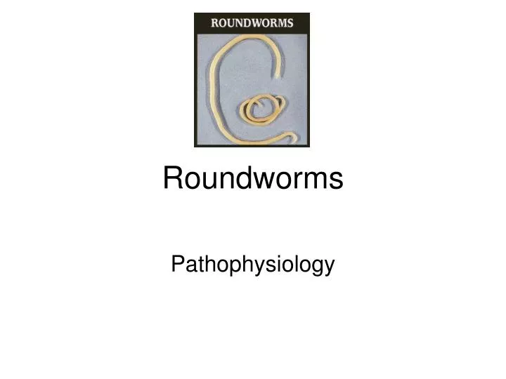 roundworms