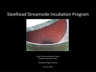 Steelhead Streamside Incubation Program