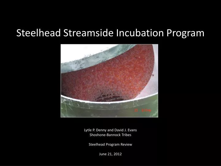 steelhead streamside incubation program