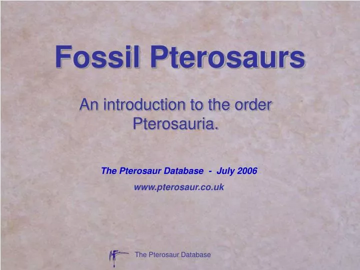 fossil pterosaurs