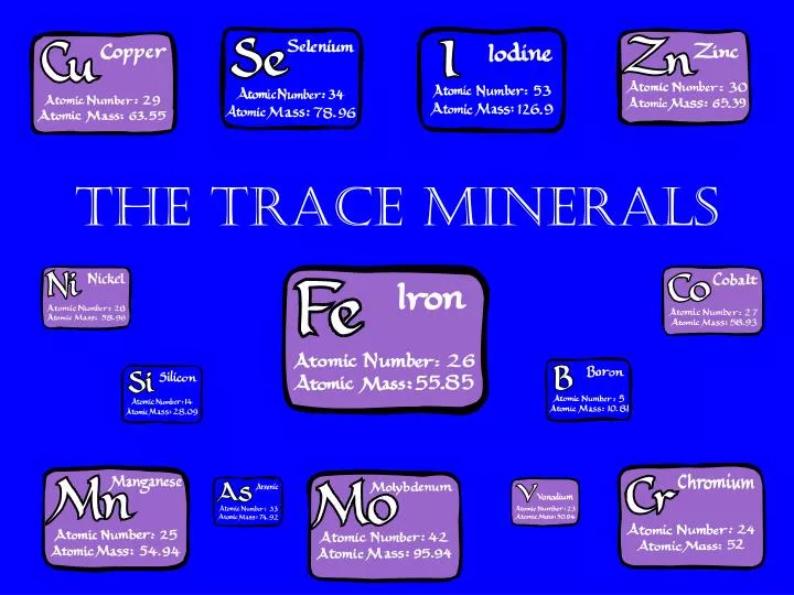 the trace minerals