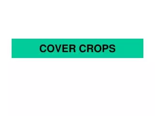 COVER CROPS