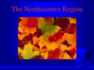 The Northeastern Region