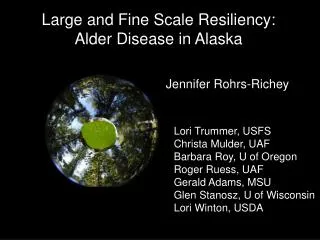 Large and Fine Scale Resiliency: Alder Disease in Alaska