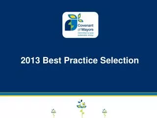 2013 Best Practice Selection
