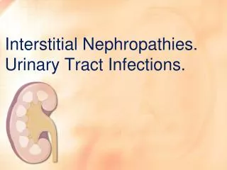 Interstitial Nephropathies. Urinary Tract Infections.