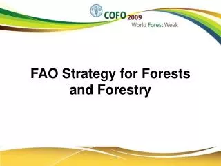 FAO Strategy for Forests and Forestry