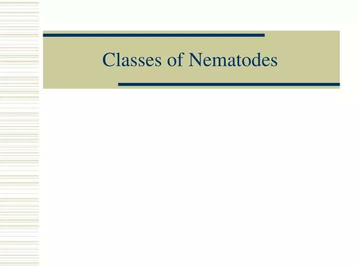 classes of nematodes