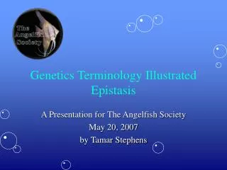 Genetics Terminology Illustrated Epistasis