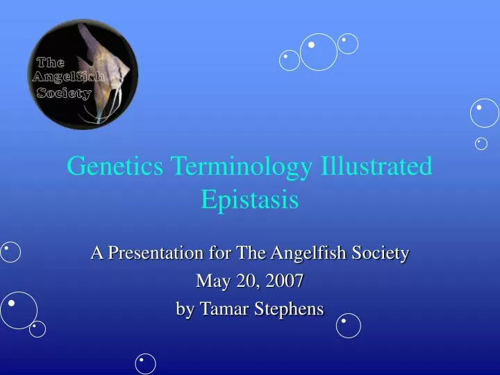 genetics terminology illustrated epistasis