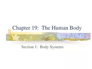 Chapter 19: The Human Body