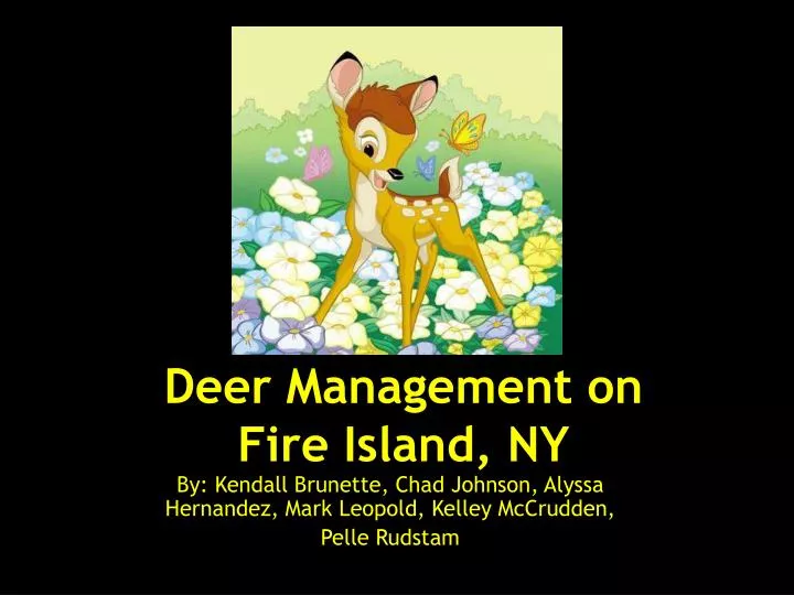 deer management on fire island ny