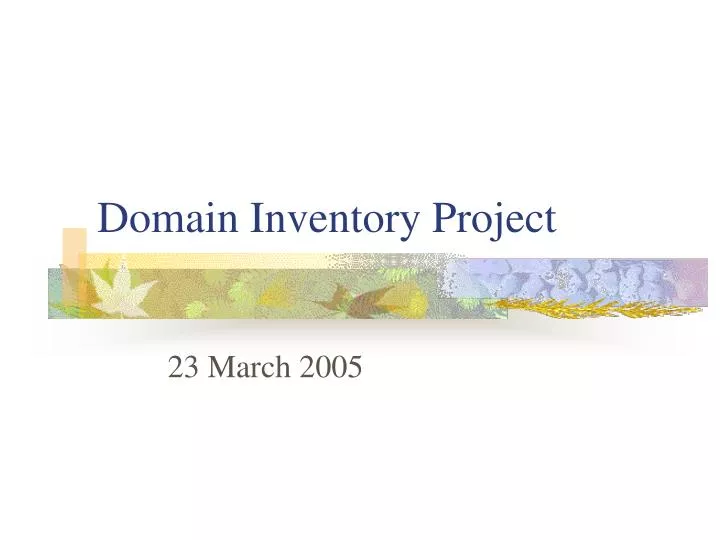 domain inventory project