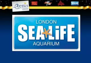 Sea Life London Aquarium Located on South Bank next to the London Eye Seated events from 50-180 guests Parties for up to