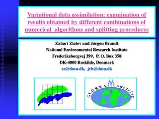 Variational data assimilation: examination of results obtained by different combinations of numerical algorithms and sp