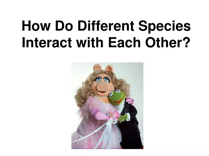 how do different species interact with each other